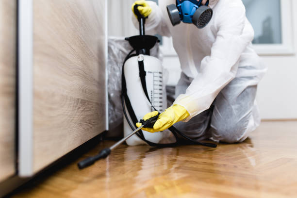 Best Mosquito Control Services  in North Lewisburg, OH