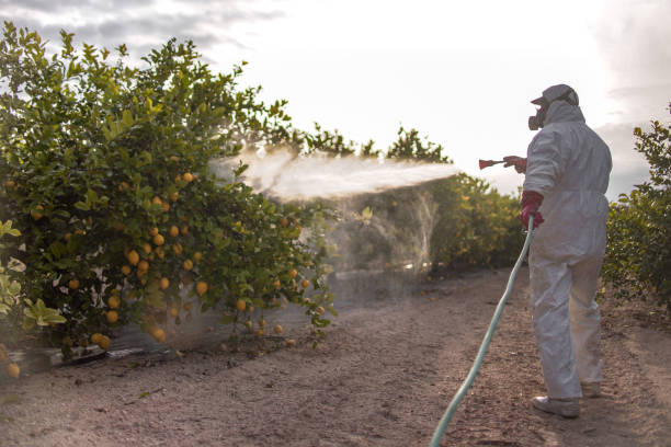 Best Insect Control  in North Lewisburg, OH