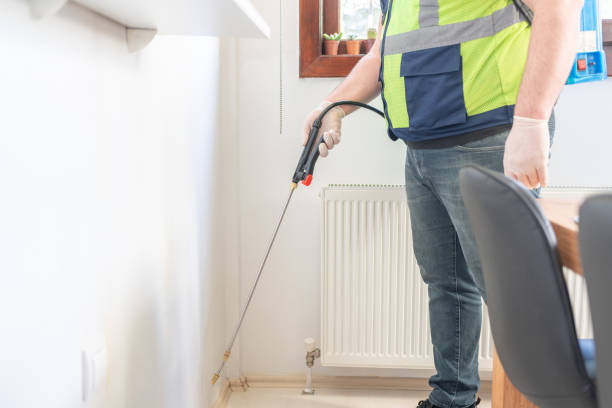 Best Flea Control Services  in North Lewisburg, OH