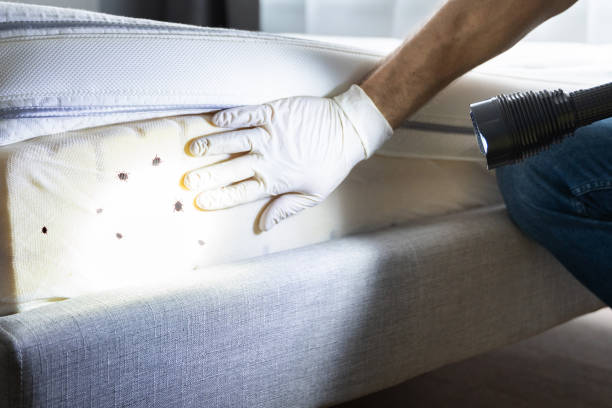 Pest Prevention Services in North Lewisburg, OH