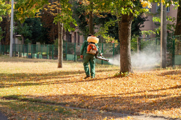 Best Spider Control Near Me  in North Lewisburg, OH
